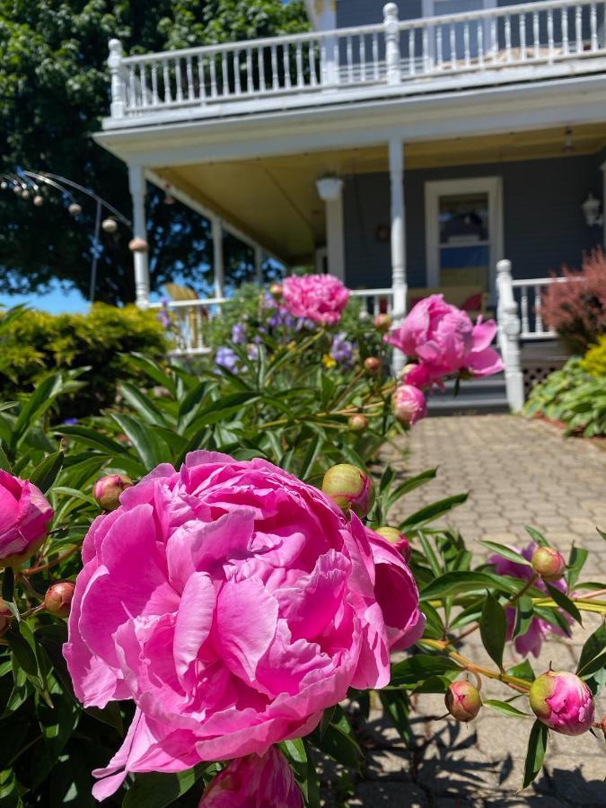 Toba'S Bed & Breakfast Lunenburg Exterior foto